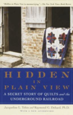 Hidden in Plain View book cover