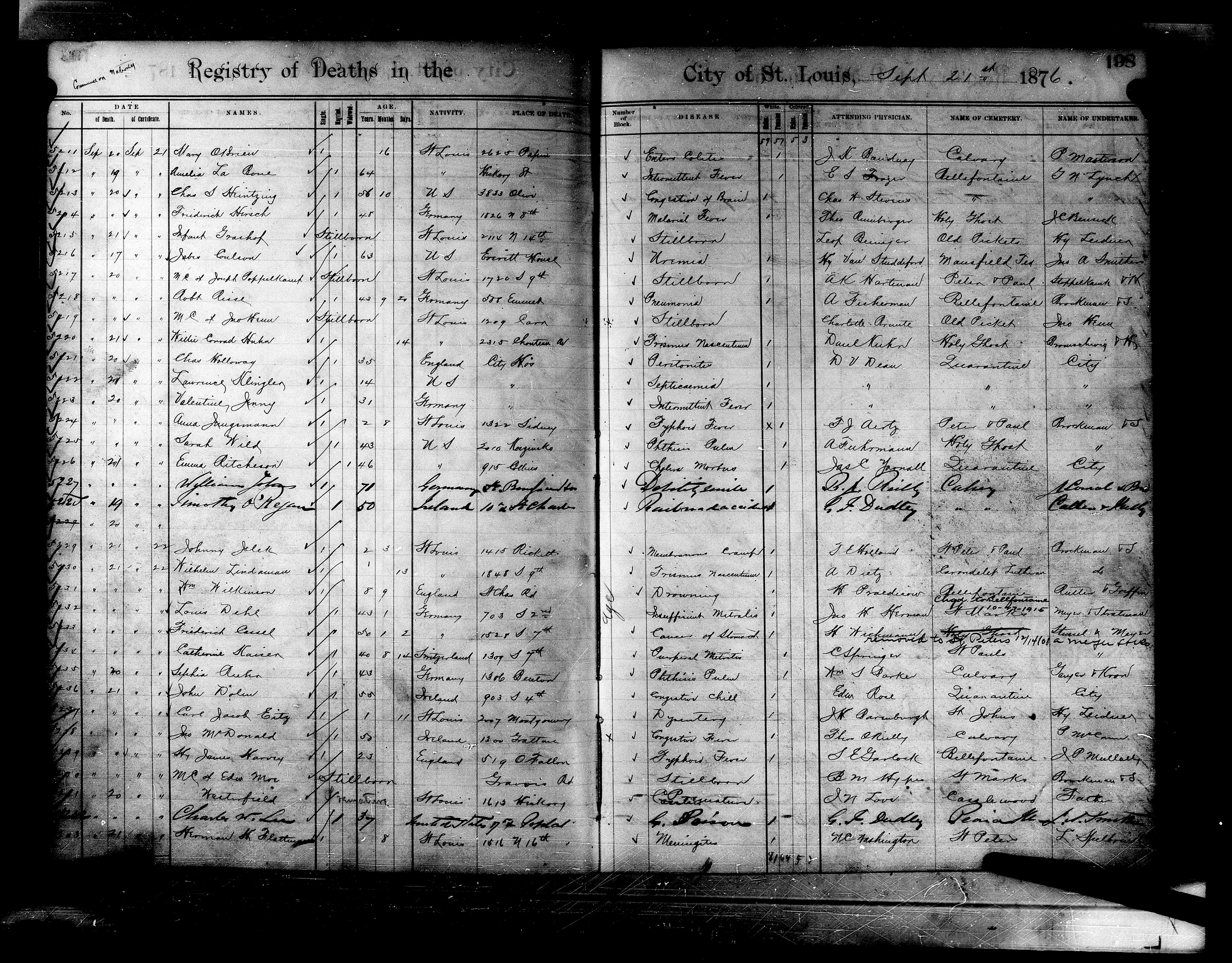 Deaths Recorded in the City of St. Louis, 1850–1908 - screenshot of records